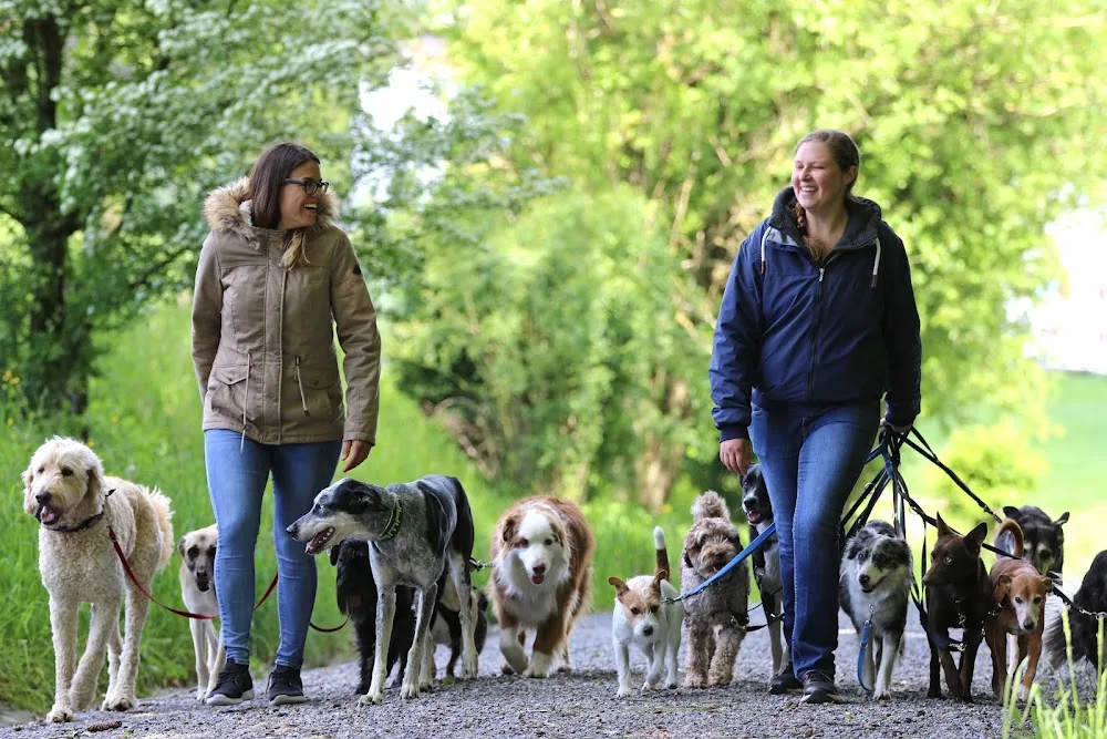 Happy Hundehort - Effretikon pet otel