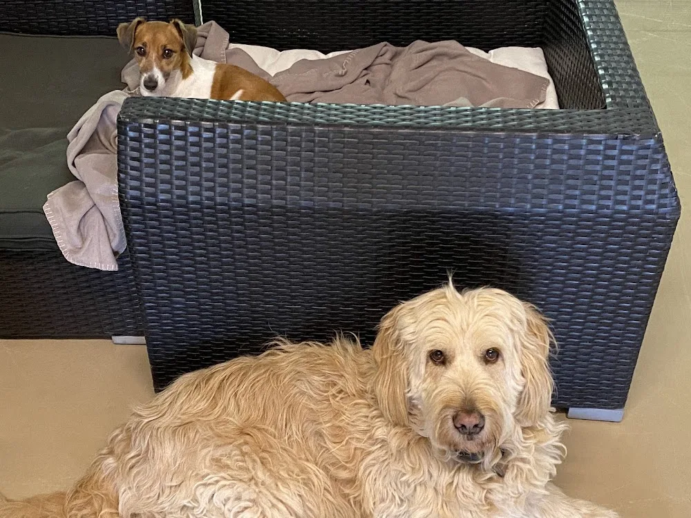 Hunde-Freund, Hundebetreuung, Ferienhunde Franziska - Effretikon pet otel