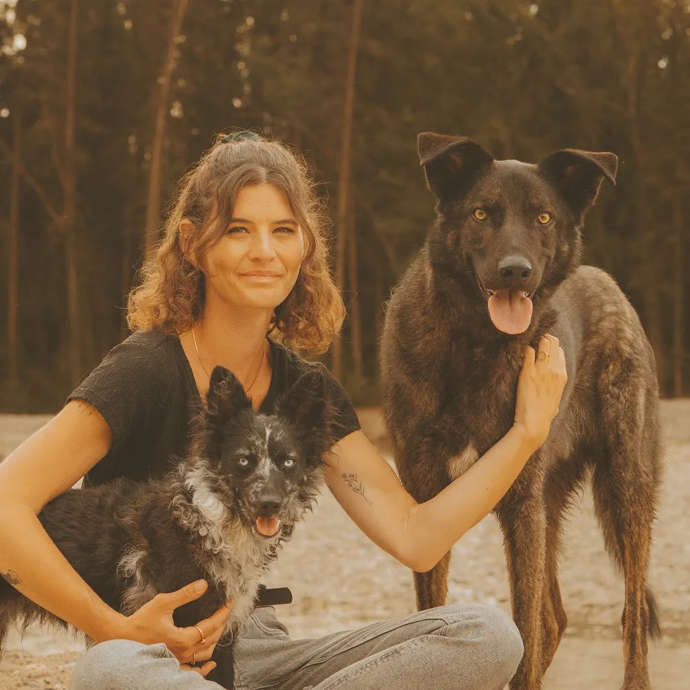 Hundepension Lieblingsplatz - Effretikon pet otel görseli 5