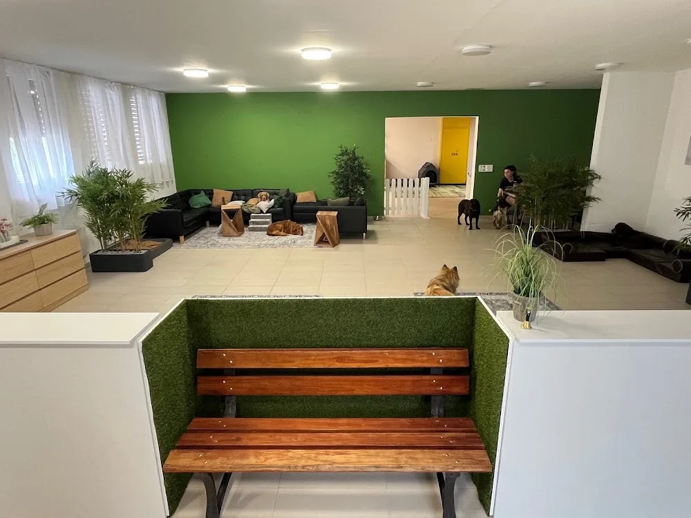 hundundhund KlG - Effretikon pet otel görseli 3