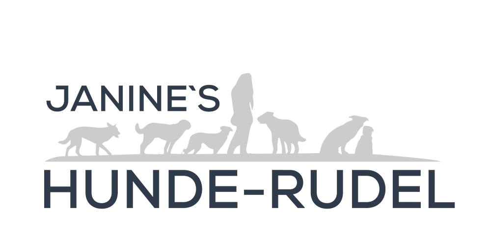 Janine’s Hunde-Rudel - Effretikon pet otel görseli 3