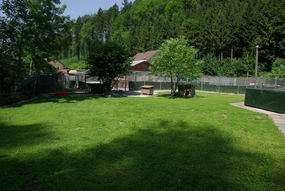 MyDogCare - Effretikon pet otel