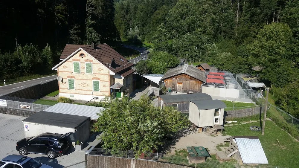 MyDogCare - Effretikon pet otel görseli 3