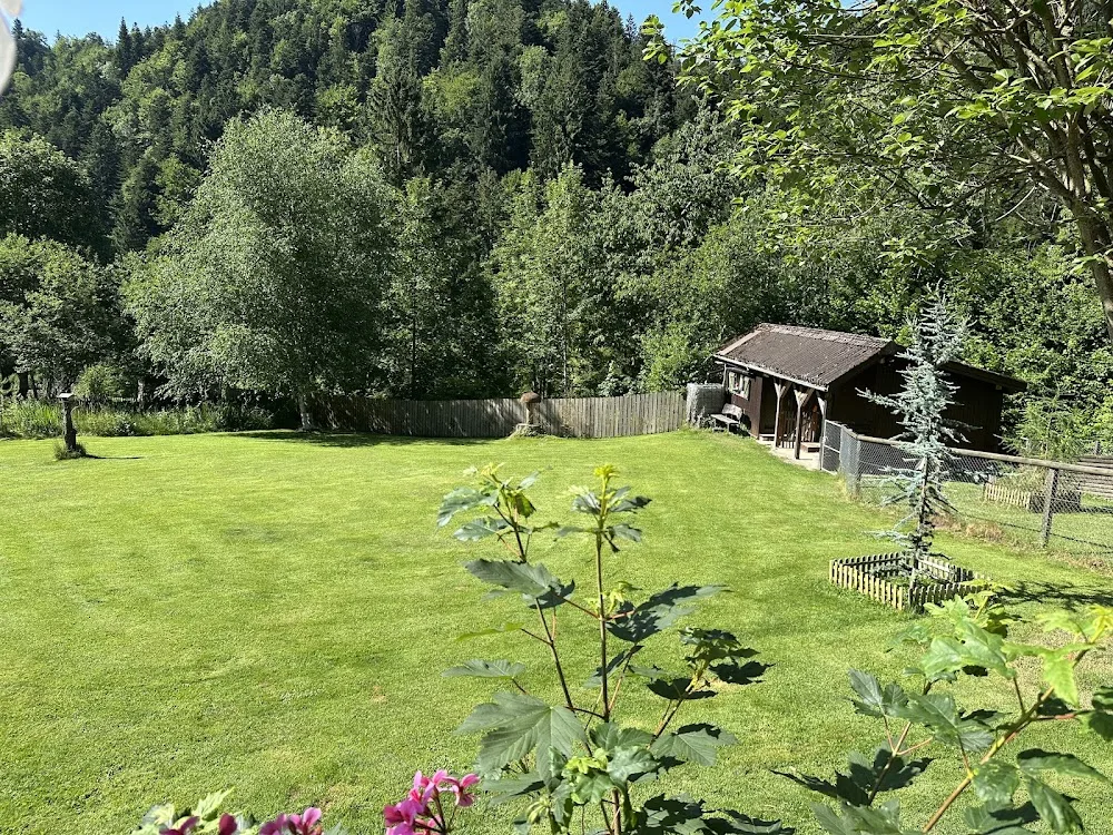 ROKA Hundehotel-Dolder - Effretikon pet otel görseli 3