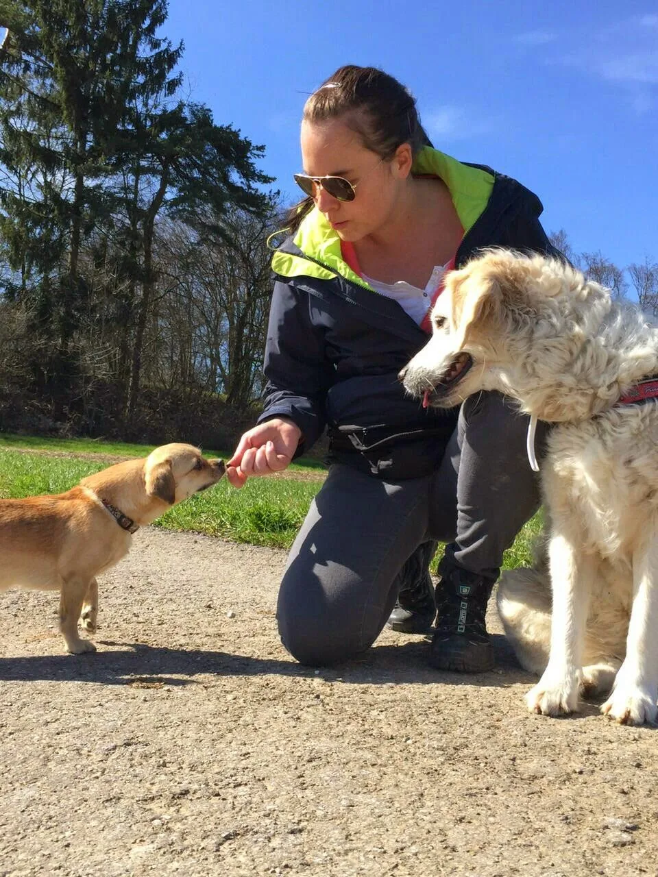 Sabrina's Hundebetreuung & Coaching - Effretikon pet otel görseli 3
