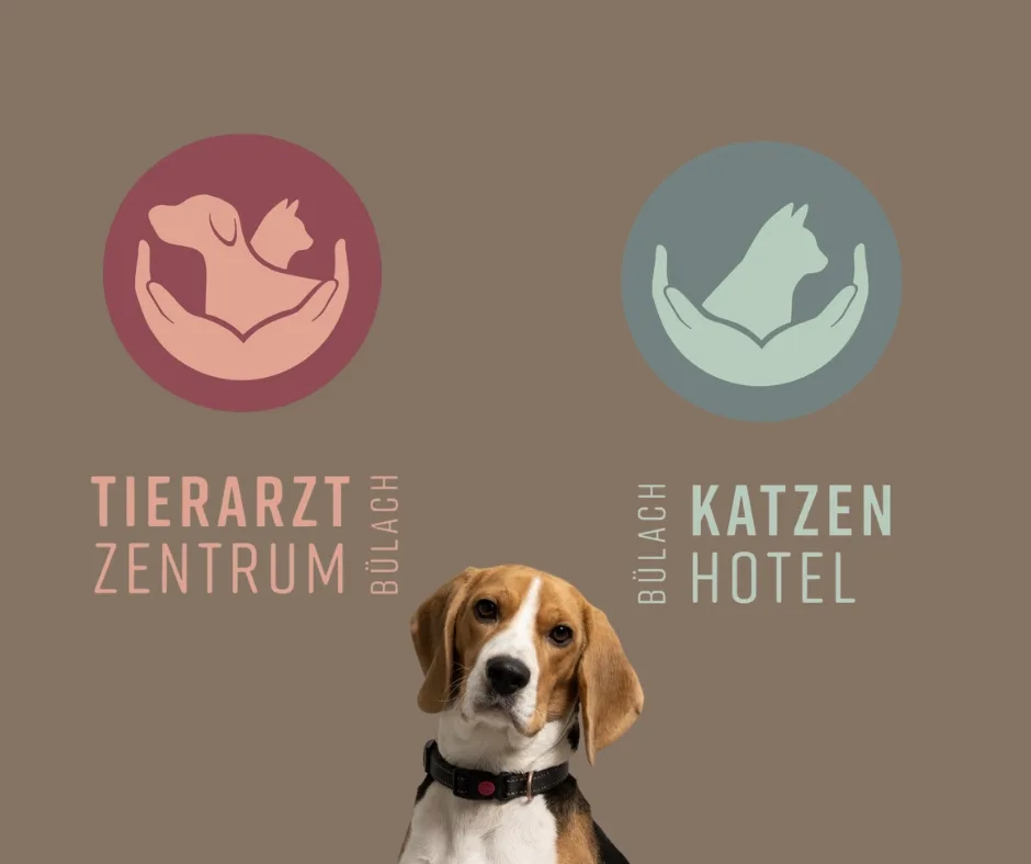 Tierarzt Zentrum & Katzenhotel Bülach - Effretikon pet otel