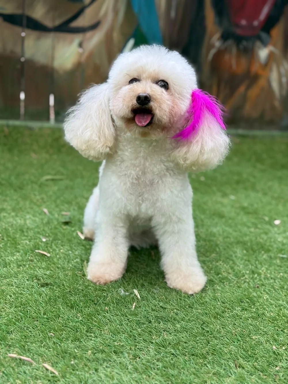 EGE KÖPEK EVİ - Denizli pet otel görseli 3