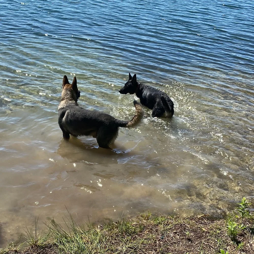 Hundtagesstätte Enilly - Eisenach pet otel