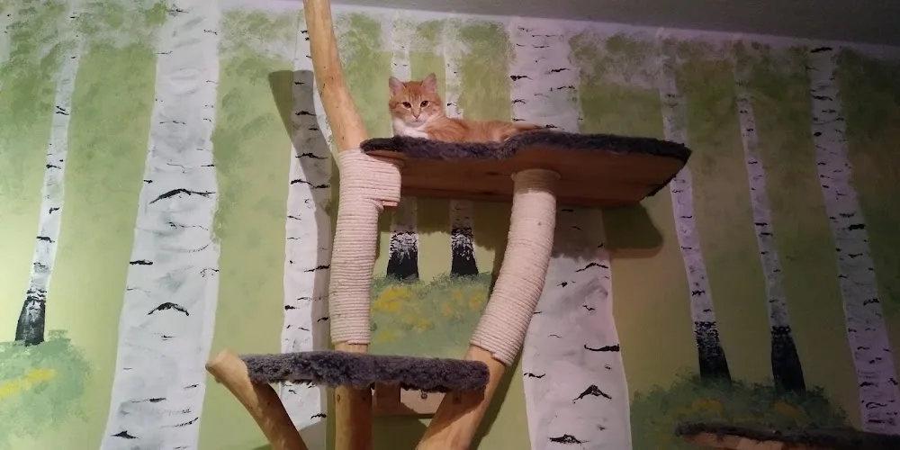 Katzenservice Guben - Eisenhüttenstadt pet otel görseli 3