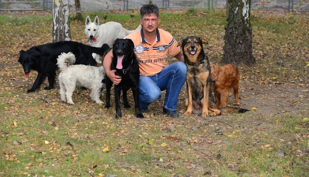 Tierpension Egerer UG - Eisenhüttenstadt pet otel görseli 6