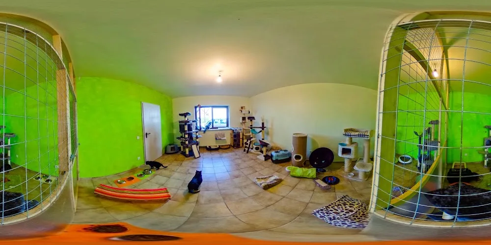miezhotel - Katzenpension im Saarland - Elchesheim-Illingen pet otel görseli 3