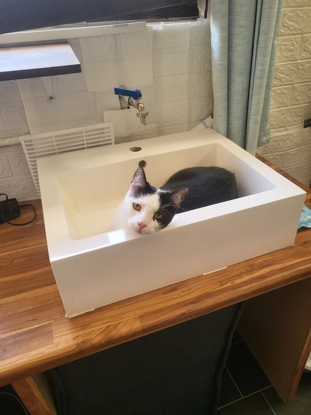 Tierpension Tierglück - Elchesheim-Illingen pet otel görseli 3
