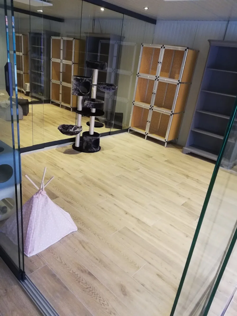 Kattenpension het Prinsesje 🐈⬛ - Elst pet otel görseli 3