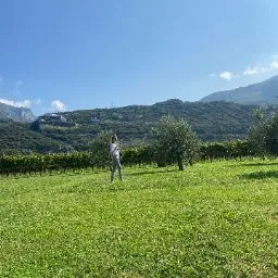 Al gatto blu - Emilia-Romagna pet otel görseli 9