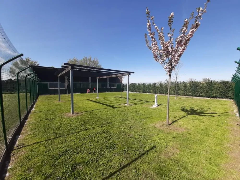 Canerè la tua pensione per cani - Emilia-Romagna pet otel