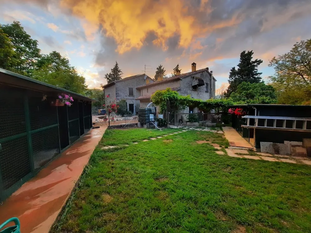 Country Dog Romagna | Pensione per cani - Emilia-Romagna pet otel görseli 3