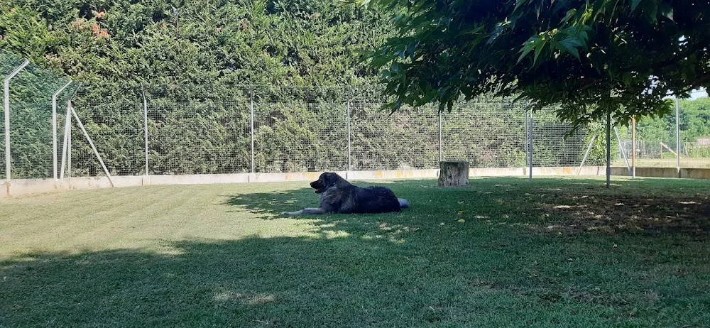 Dog's Ranch - Emilia-Romagna pet otel