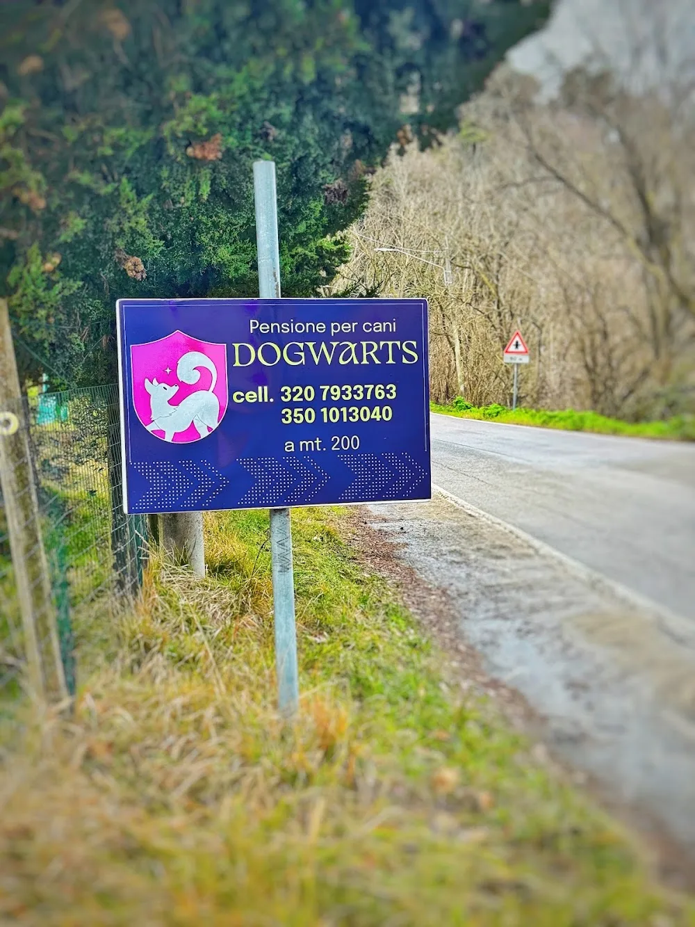 Dogwarts pensione per cani by Coda Magica - Emilia-Romagna pet otel görseli 6