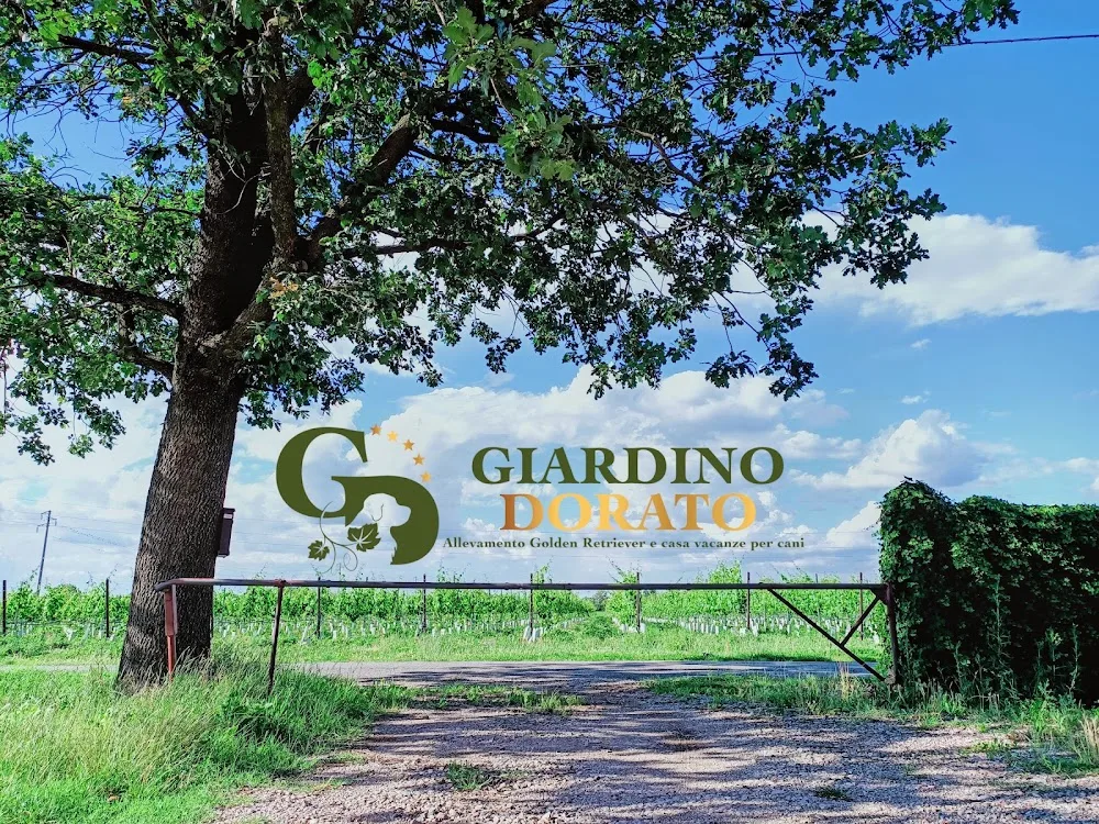 Giardino Dorato - Allevamento Golden Retriever - Pensione per cani - Emilia-Romagna pet otel