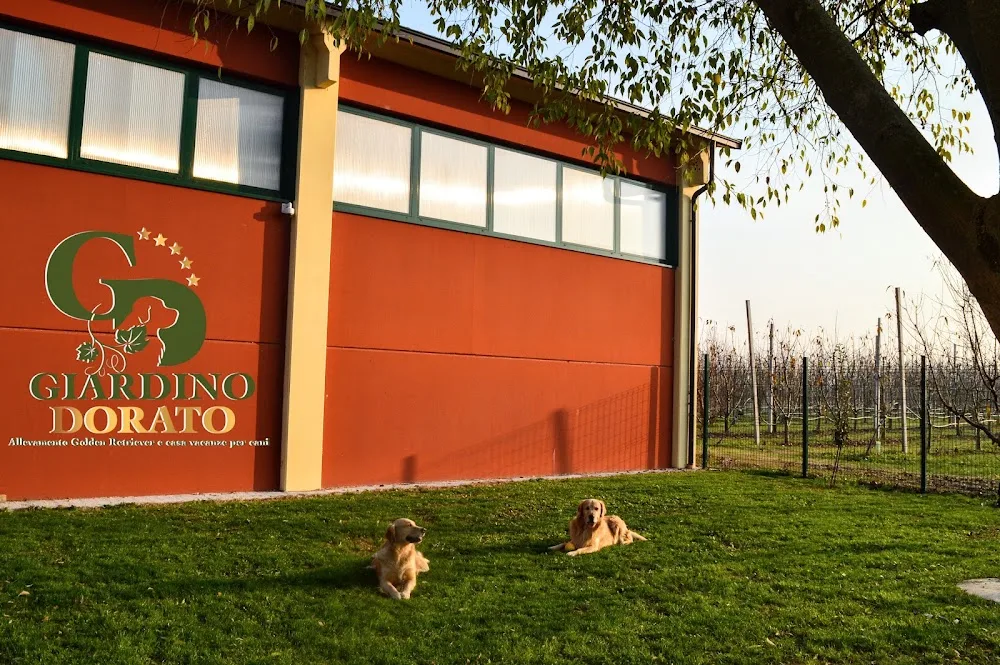 Giardino Dorato - Allevamento Golden Retriever - Pensione per cani - Emilia-Romagna pet otel görseli 3