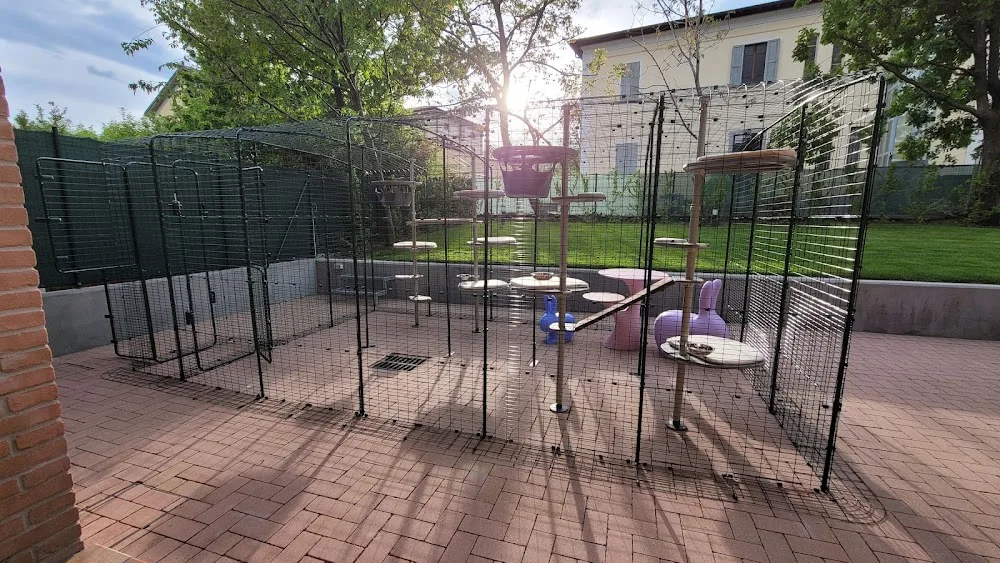 Il passo felpato, Luxury Hotel per gatti - Emilia-Romagna pet otel