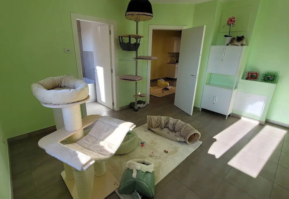 Il passo felpato, Luxury Hotel per gatti - Emilia-Romagna pet otel görseli 7