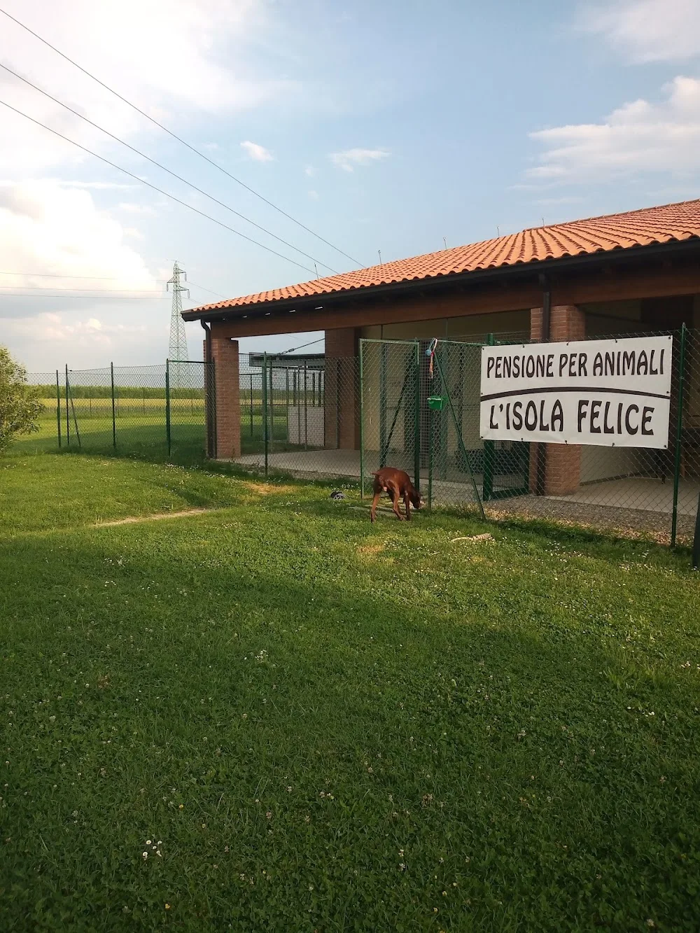 L'isola Felice Pensione per Animali di Costa Giuseppe - Emilia-Romagna pet otel görseli 2