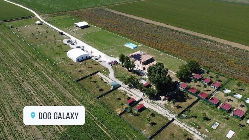 Pensione Cani Dog Galaxy - Emilia-Romagna pet otel görseli 2