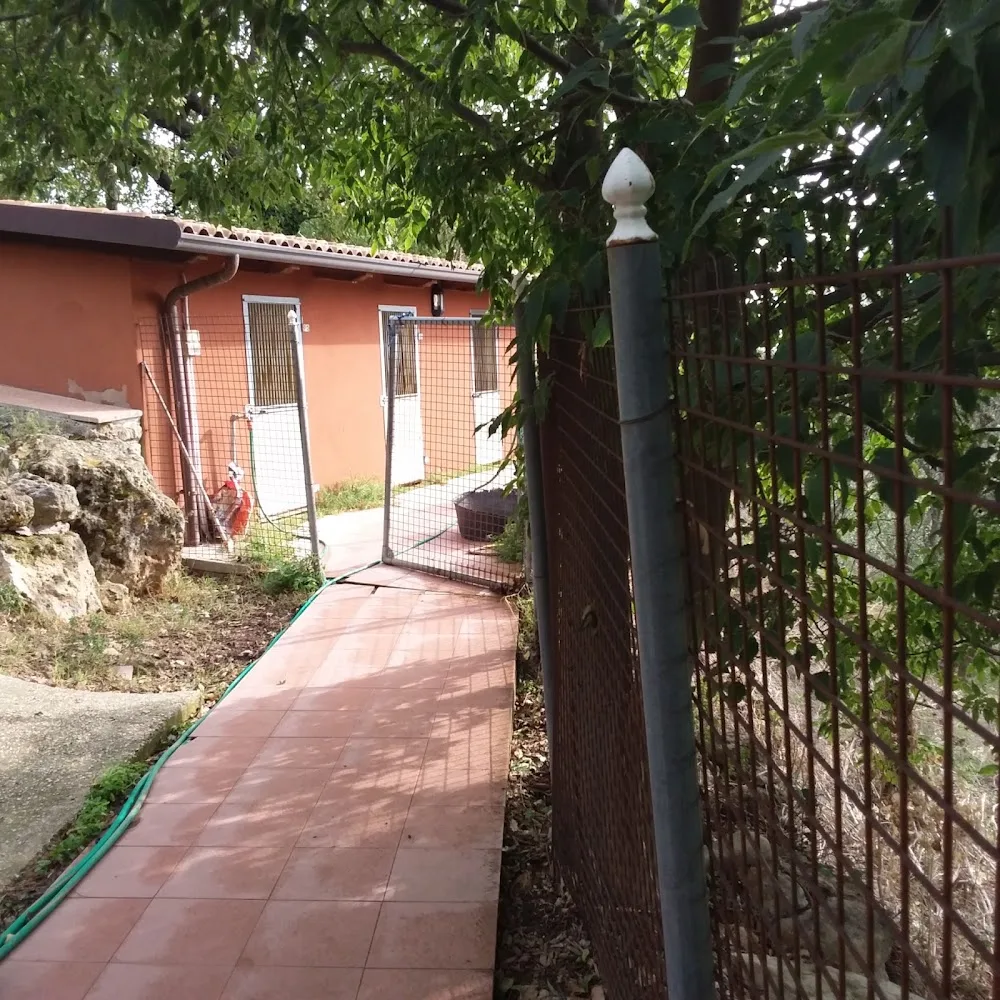 Pensione Cani e Gatti Morinorum - Emilia-Romagna pet otel görseli 6