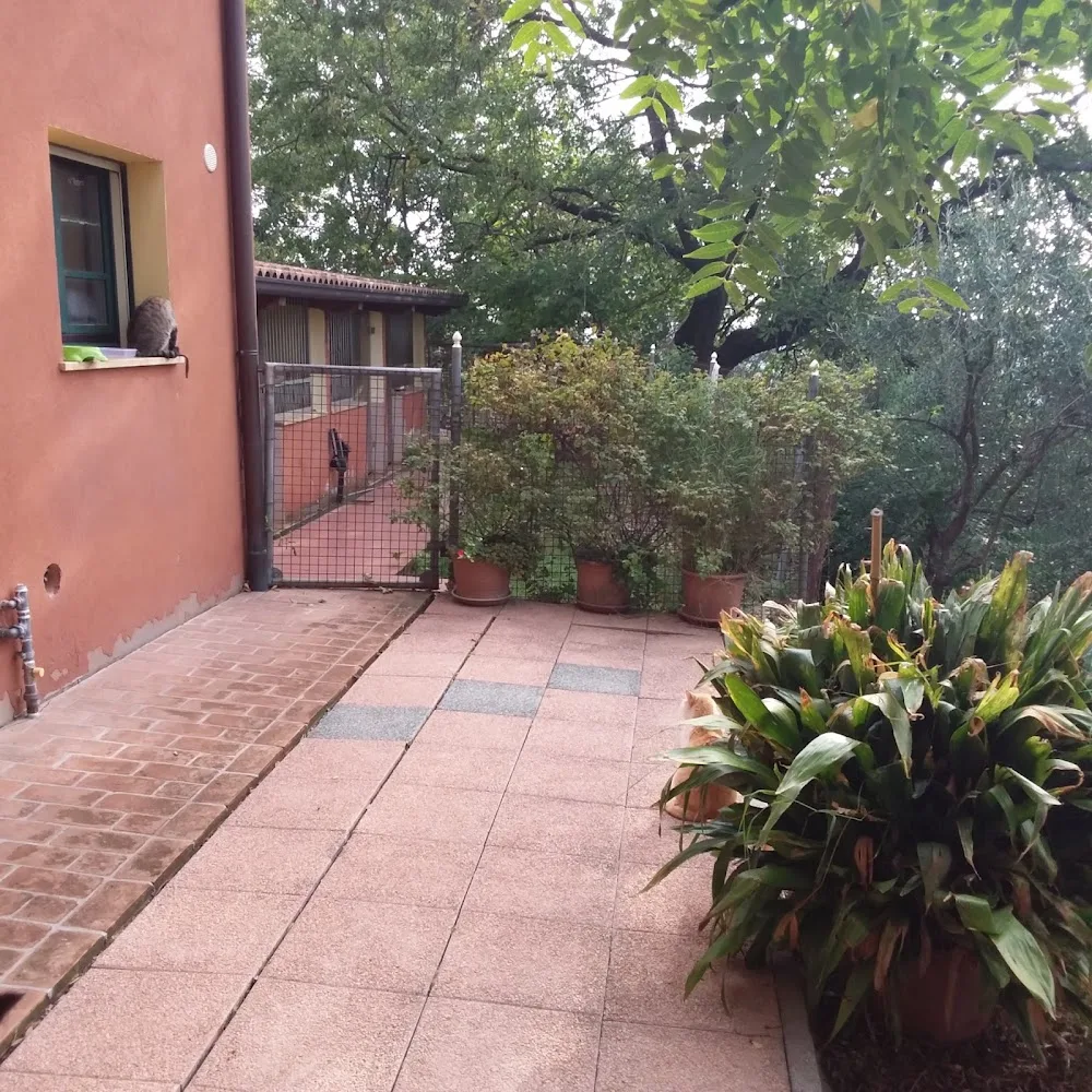 Pensione Cani e Gatti Morinorum - Emilia-Romagna pet otel görseli 7