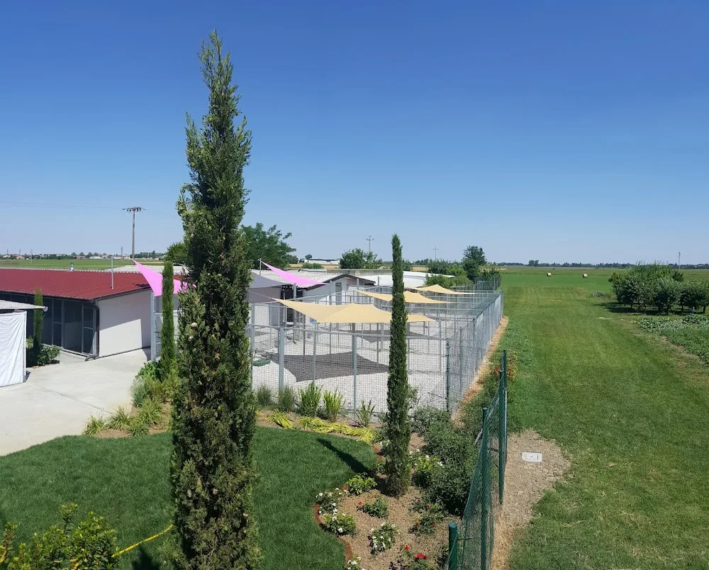 Pensione La Quiete - Emilia-Romagna pet otel görseli 2