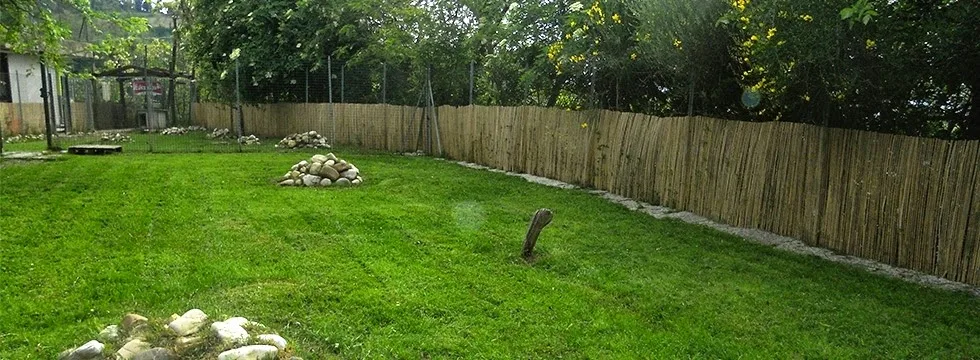 Pensione per animali Villa Valli - Emilia-Romagna pet otel görseli 6
