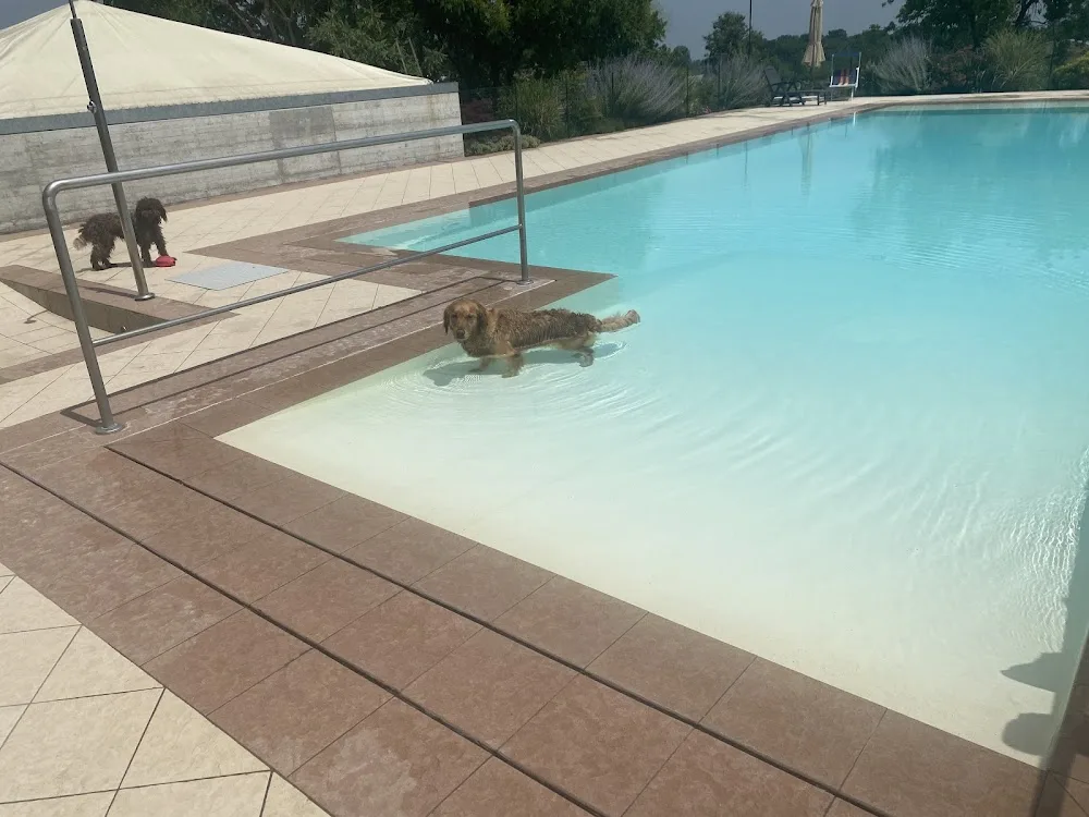 Pensione Per Cani - Golden Pet - Emilia-Romagna pet otel görseli 2