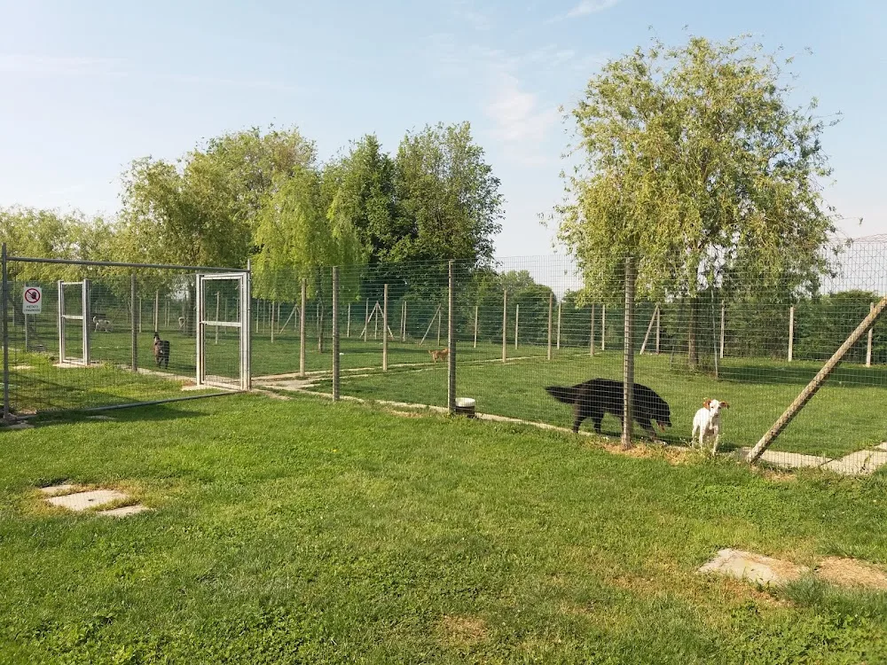 Pensione per cani Mondo Cane - Emilia-Romagna pet otel görseli 3