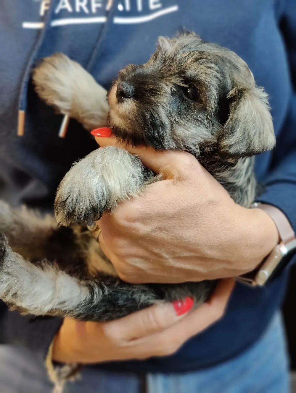 Hillside Kennels - Enfield pet otel görseli 3
