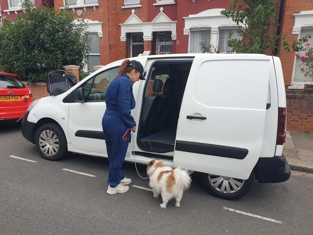Northy Paws Pet Taxi, Dog Walking & Pet Boarding - Enfield pet otel