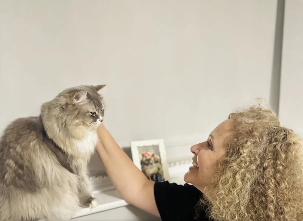 The Cat Butler Enfield - Cat Sitting Service, Cattery Alternative - Enfield pet otel