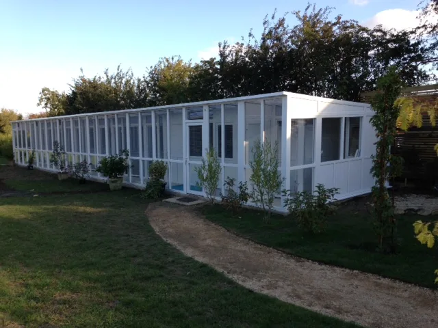 Cats Conkers Boarding Cattery - England pet otel