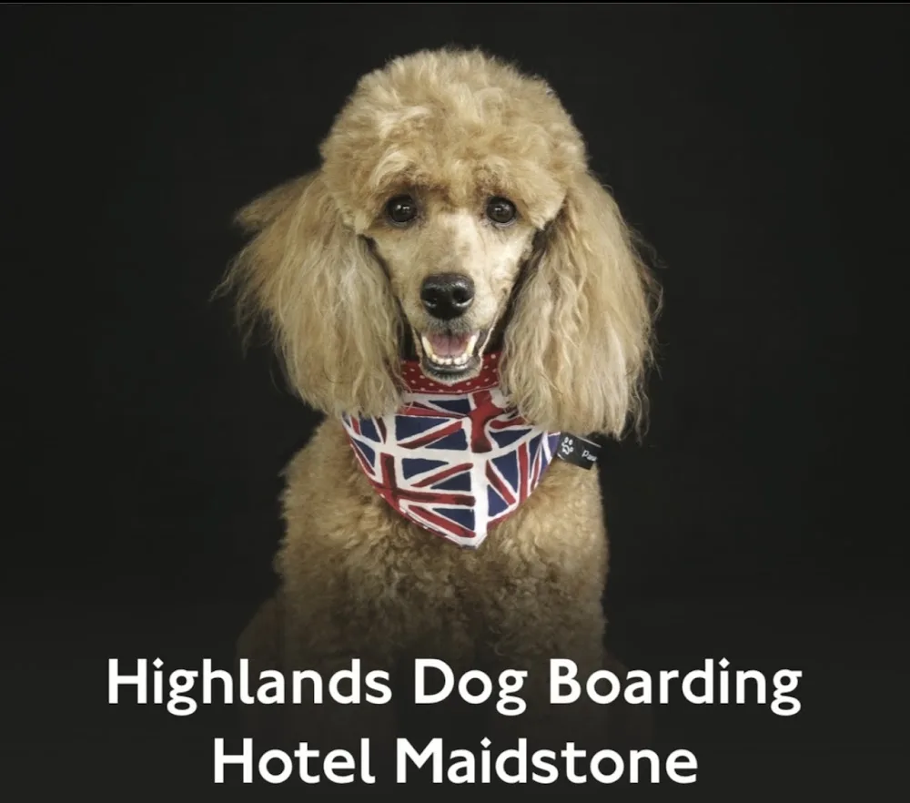 Highlands Dog Boarding Hotel MAIDSTONE - England pet otel