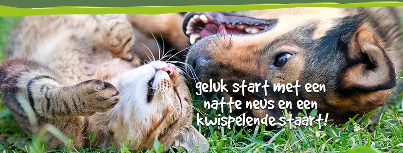 Dierenhotel De Breborgh - Enschede pet otel
