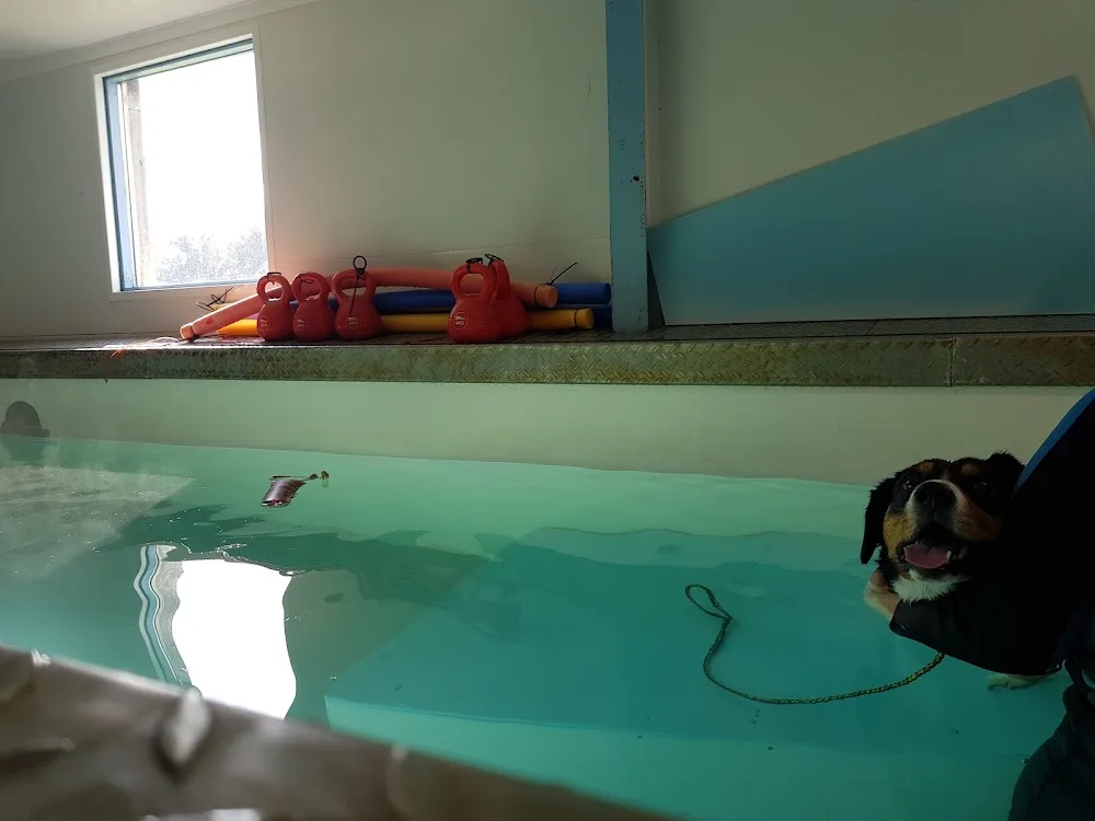 Dierenhotel Markvelde - Enschede pet otel görseli 3