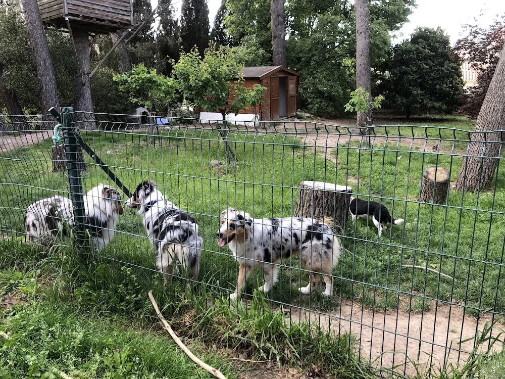 Animob'Isle - Mifsud Carole - Entraigues-sur-la-Sorgue pet otel