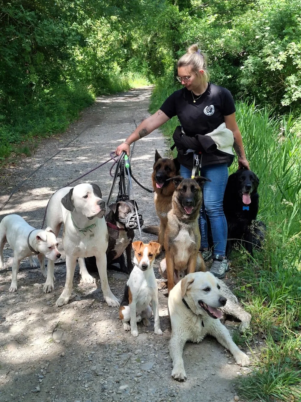 Coco Comportementaliste animalier et éducatrice canin & Pet Sitter - Entraigues-sur-la-Sorgue pet otel
