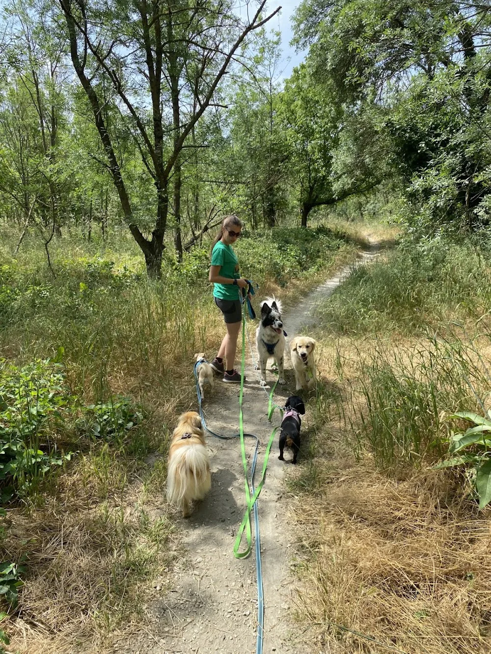 La Garderie de WOOF - Entraigues-sur-la-Sorgue pet otel görseli 3