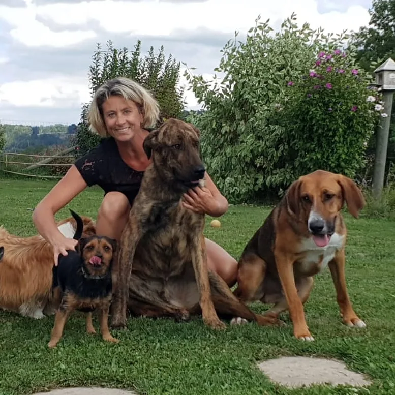 Ô Gré des Animaux - Entraigues-sur-la-Sorgue pet otel görseli 3
