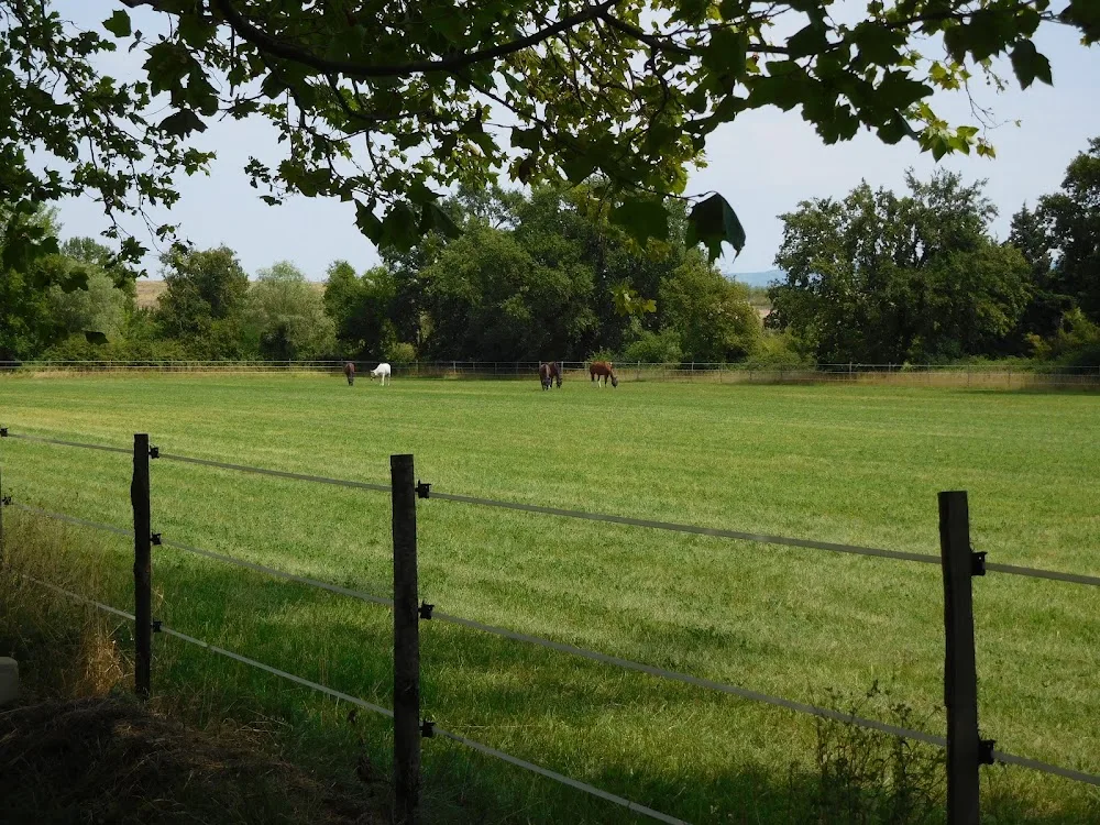 Pension Equestre Domaine De Tayolle - Entraigues-sur-la-Sorgue pet otel