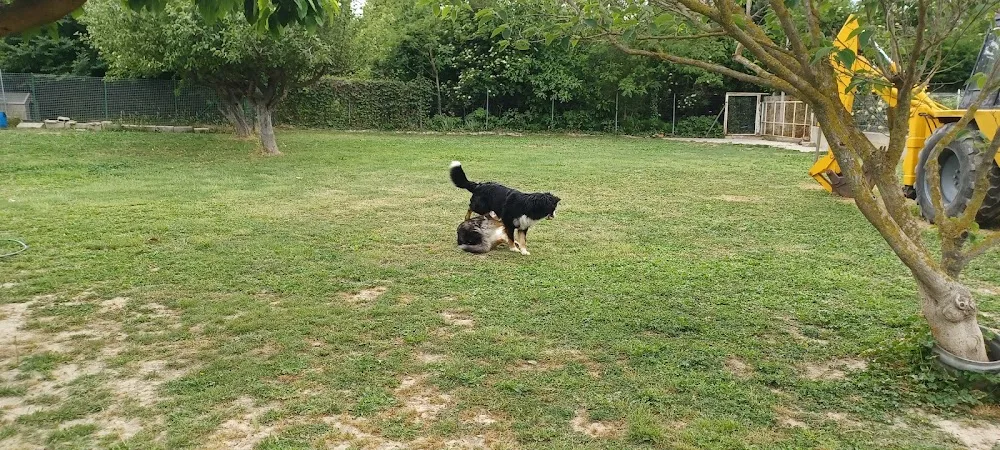 Rouvier Frederic - Entraigues-sur-la-Sorgue pet otel görseli 3