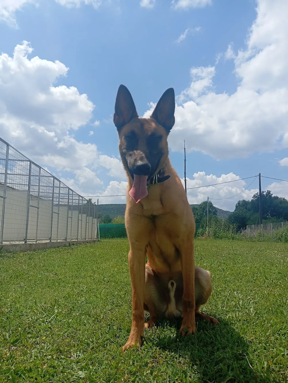 Dog passion Ioannina - Ξενοδοχείο σκύλων - Epirus pet otel