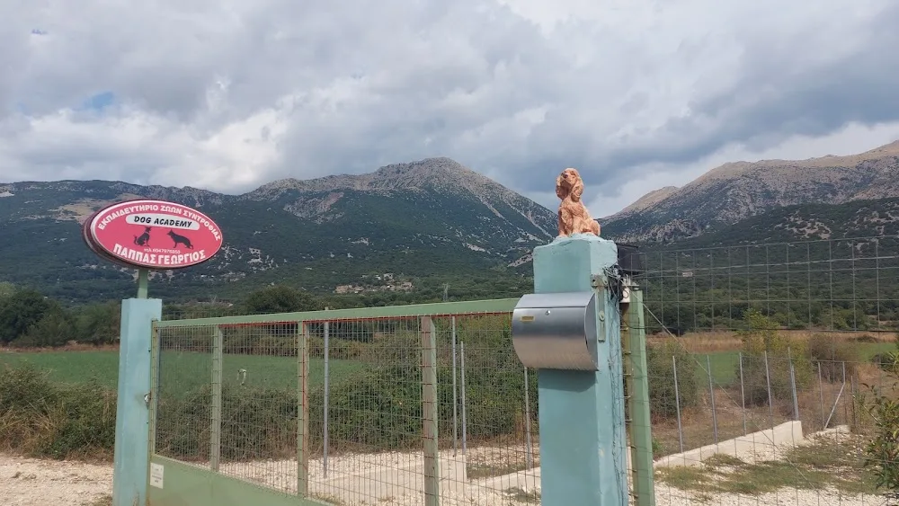 Happy dog academy - Epirus pet otel görseli 3