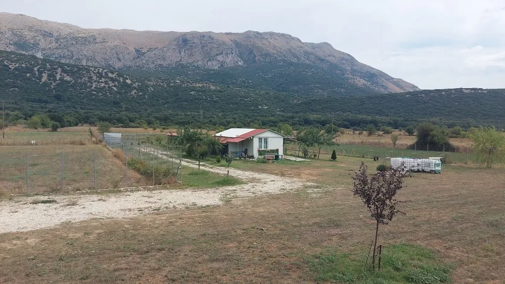 Happy dog academy - Epirus pet otel görseli 10
